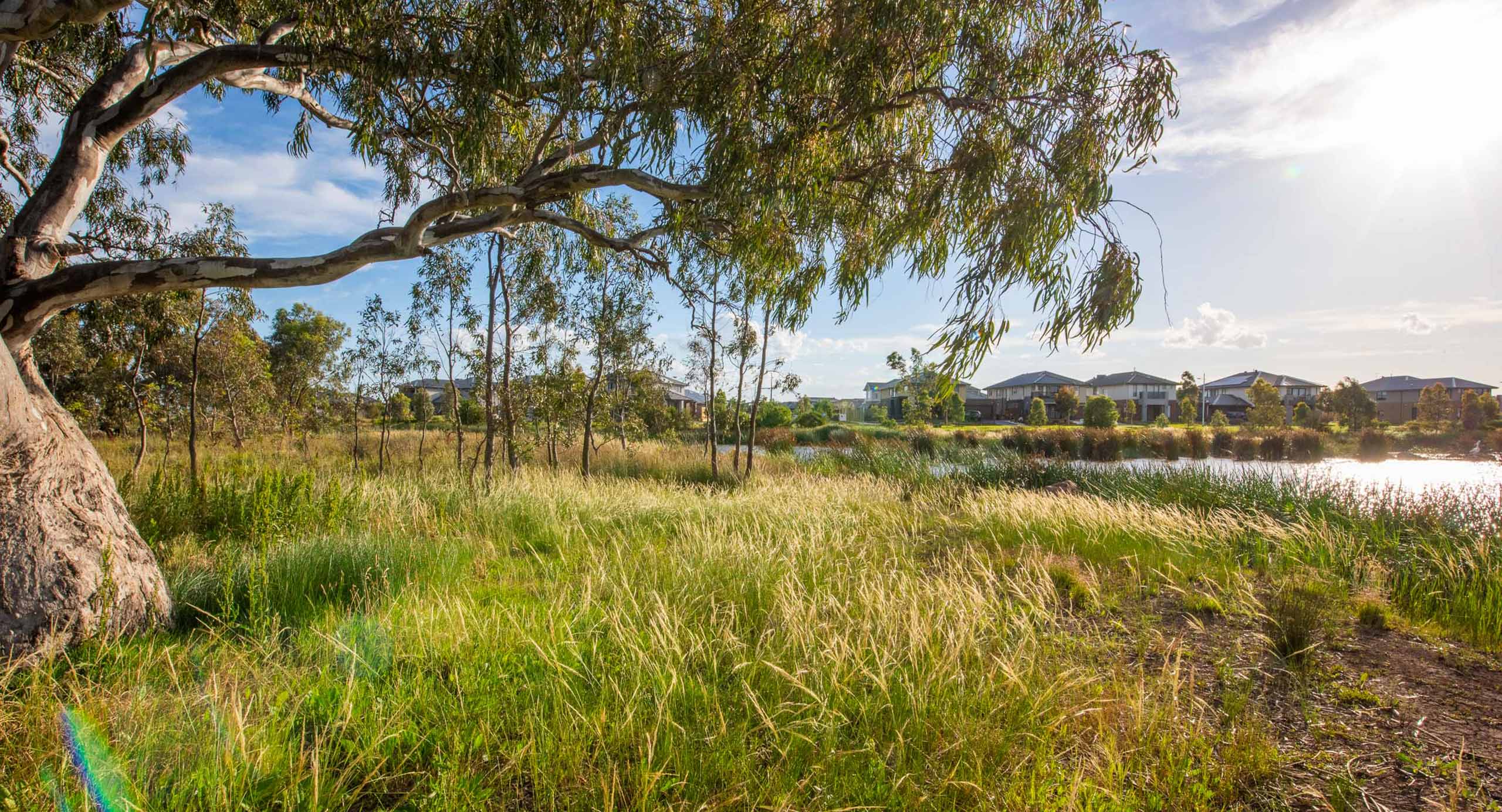 Harpley Master Planned Community