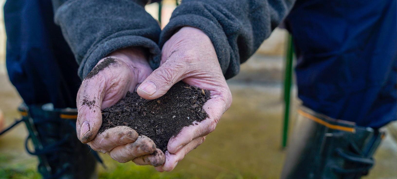 Putting waste to good use: harnessing the power of biosolids