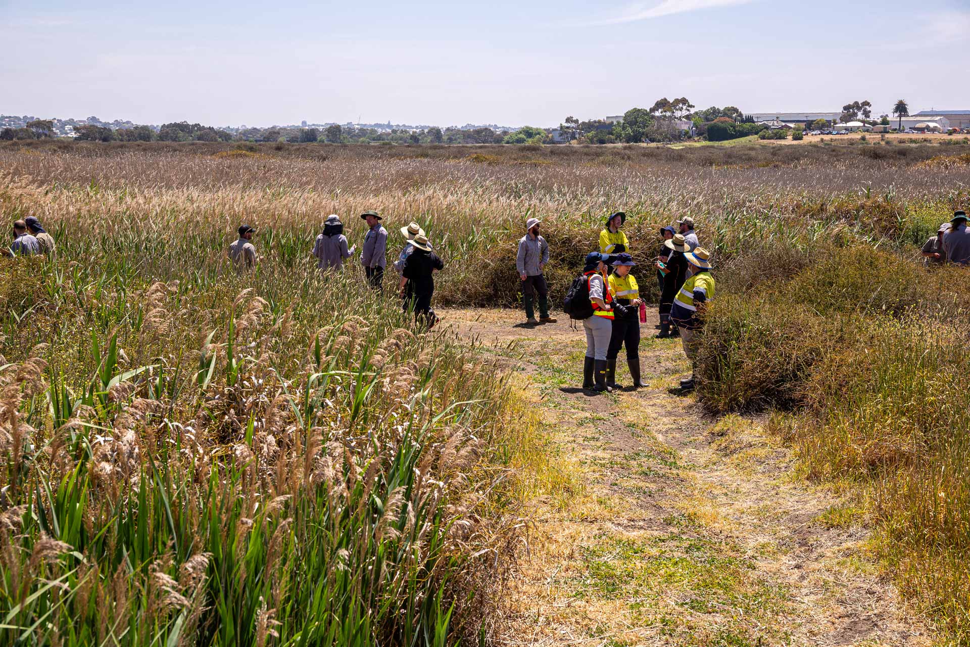 Porrongitj-Karrong-Field