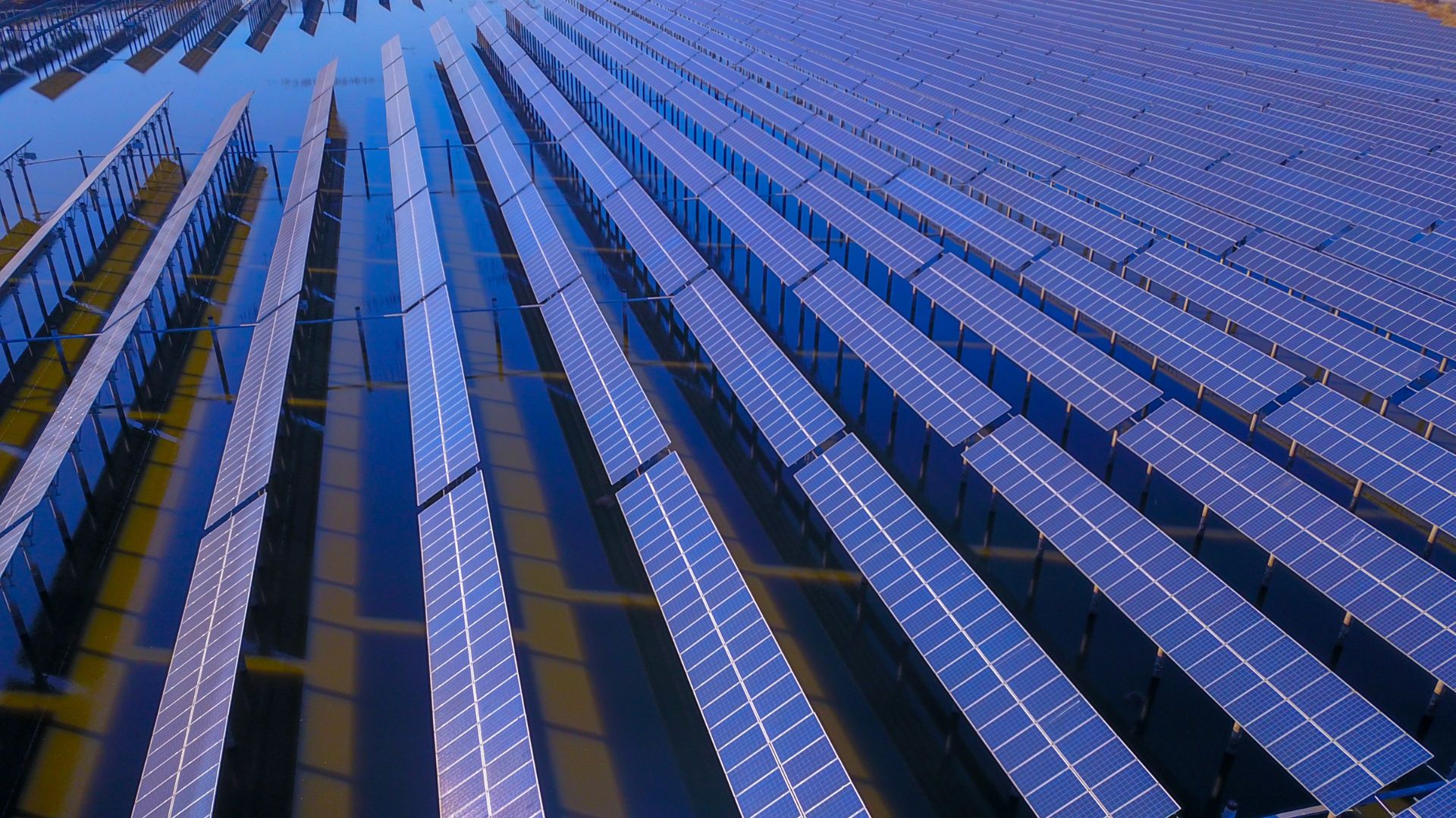 Rows of solar panels arranged in long, parallel lines stretching into the distance under a blue sky.