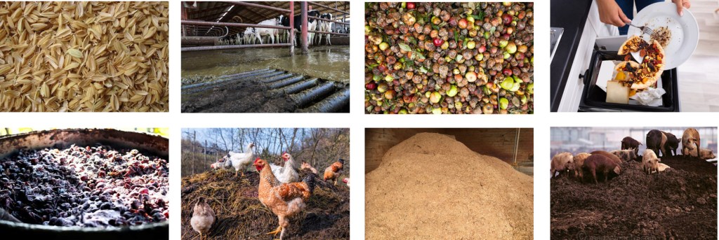 Collage of common organic feedstocks used for biogas and biomethane production, including rice husks, livestock manure, spoiled fruit and food waste, grape pomace, poultry litter with chickens, wood shavings, and pig manure.