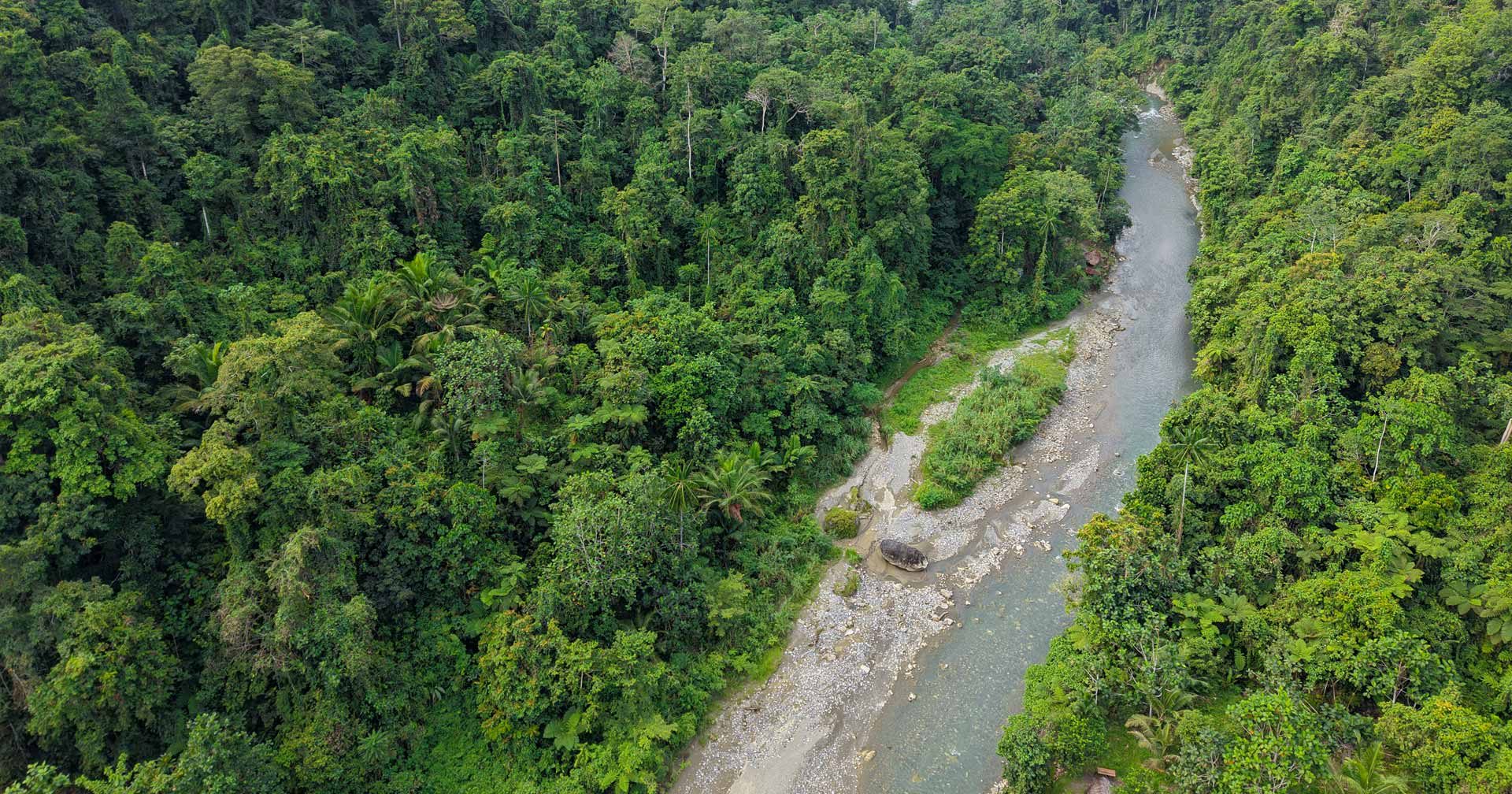 A winding river flowing through a dense tropical rainforest surrounded by green mountains.