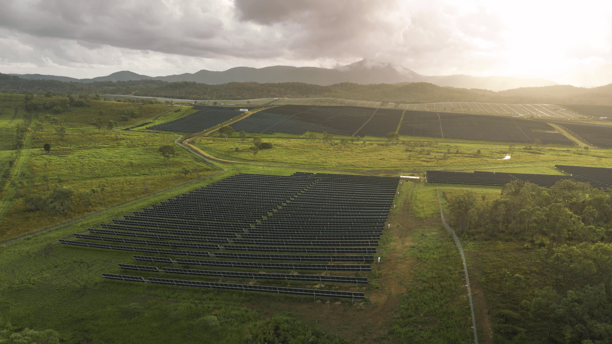 Aerial view of a large solar farm with rows of dark solar panels stretching across a green landscape.